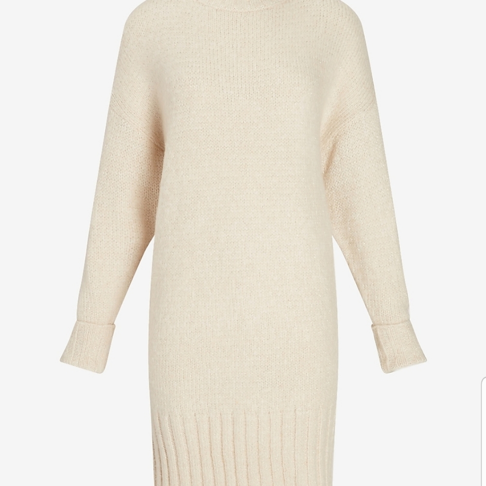 Express X You Metlic Turtleneck Sweater Dress